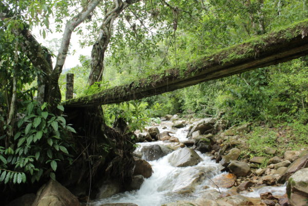 Río Itia-Thio Foto: Diego Gómez