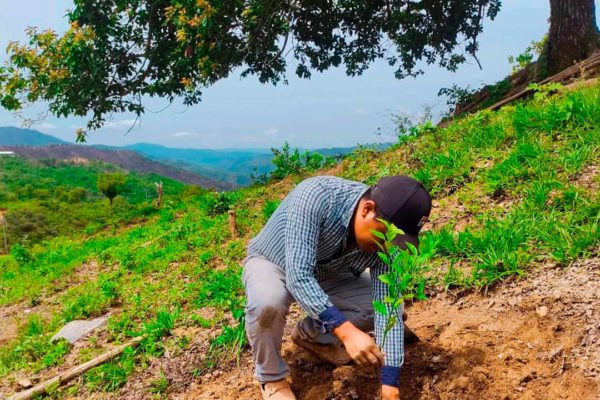 Emiliano de San Pedro, es un joven emprendedor que está estudiando la carrera de ingeniería civil, alapar está impulsando su emprendimiento de cultivo del limón.